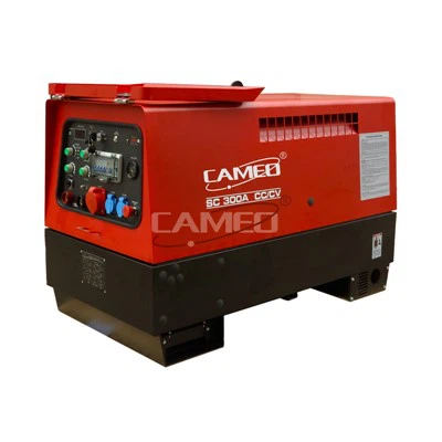 Dieselmotoraangedreven lasapparaat 300 Amp